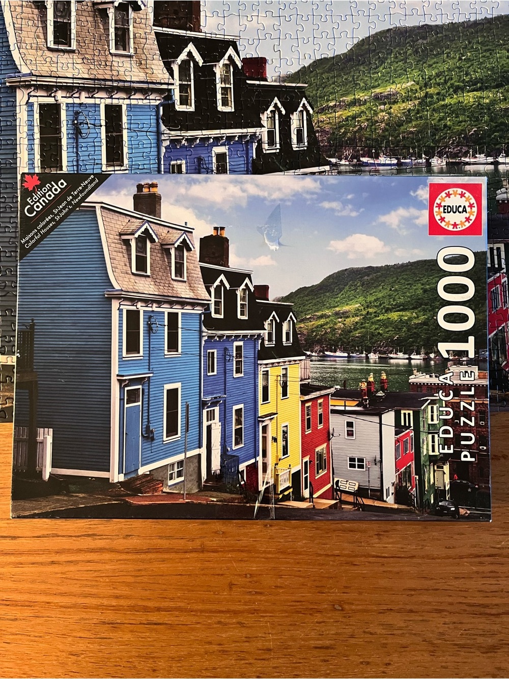 Educa Edition Canada St John's Newfoundland 1000 Piece Jigsaw Puzzle